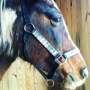 Meet your Posher, Abbie